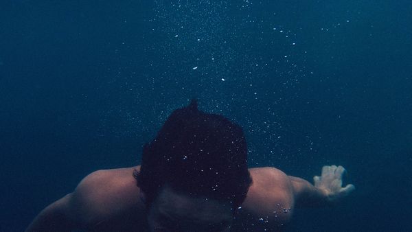 Search: Dive into all amazing compositions and find the rare pearl